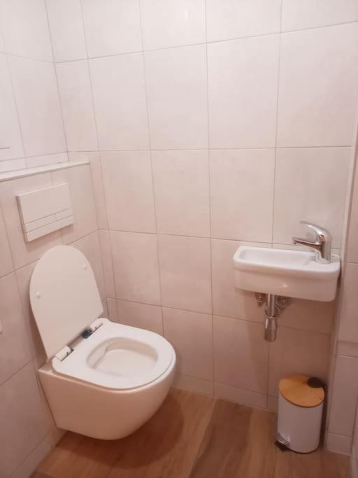 Noclegi Majowy Zakatek Zboiska Exterior foto